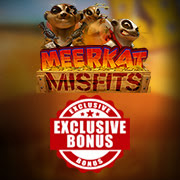 Meerkat Misfits Slot